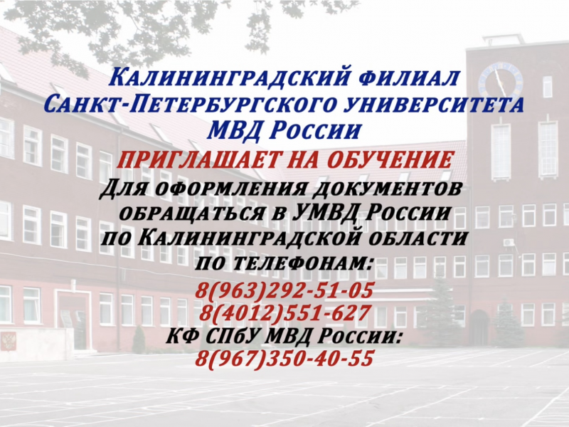 PNG Файл